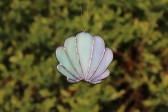 Mušle perleťová - Lesní sklo